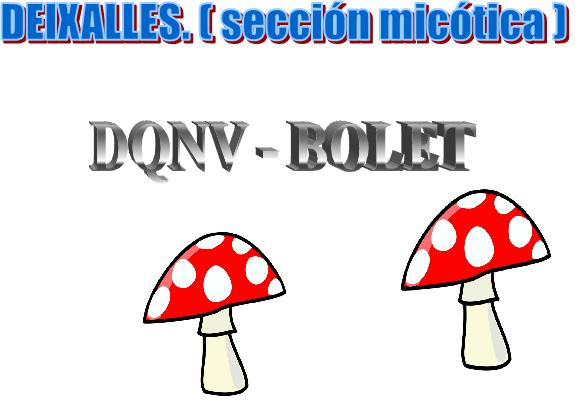 BOLETADA  - 2010